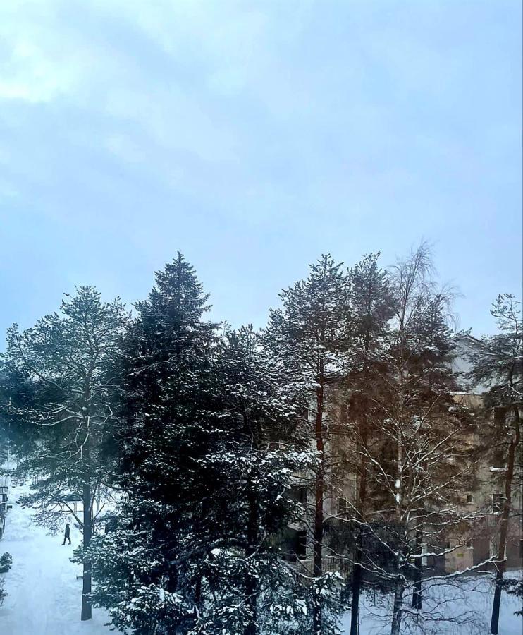 Lejlighed Arctic At Centre Rovaniemi